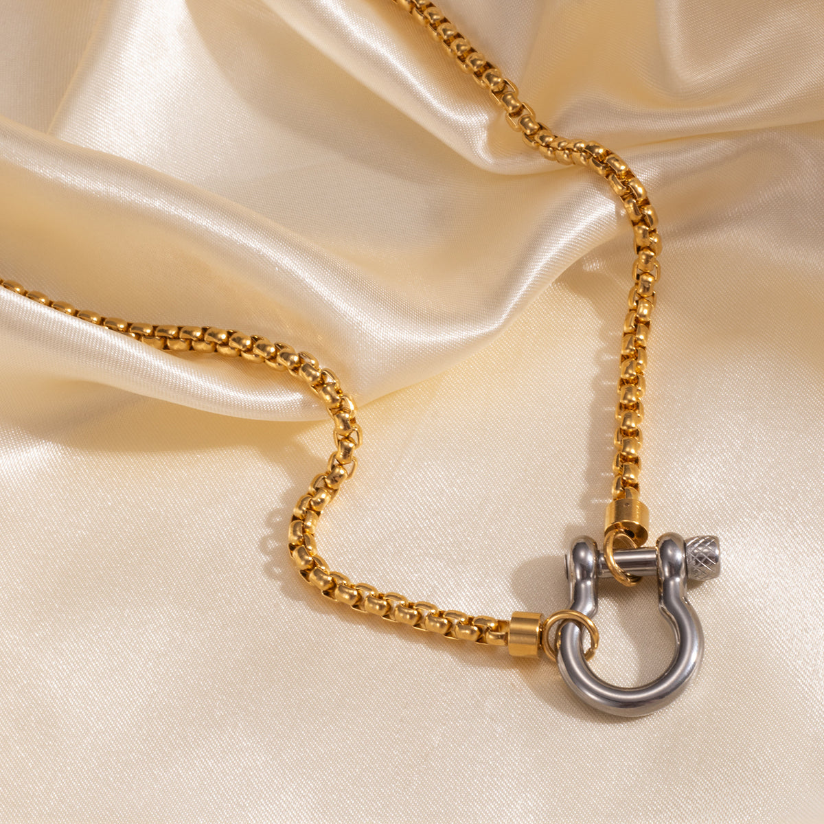 Horseshoe Buckle Stainless Steel Necklace
