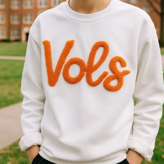 Chenille Embroidered Hooded Sweatshirt